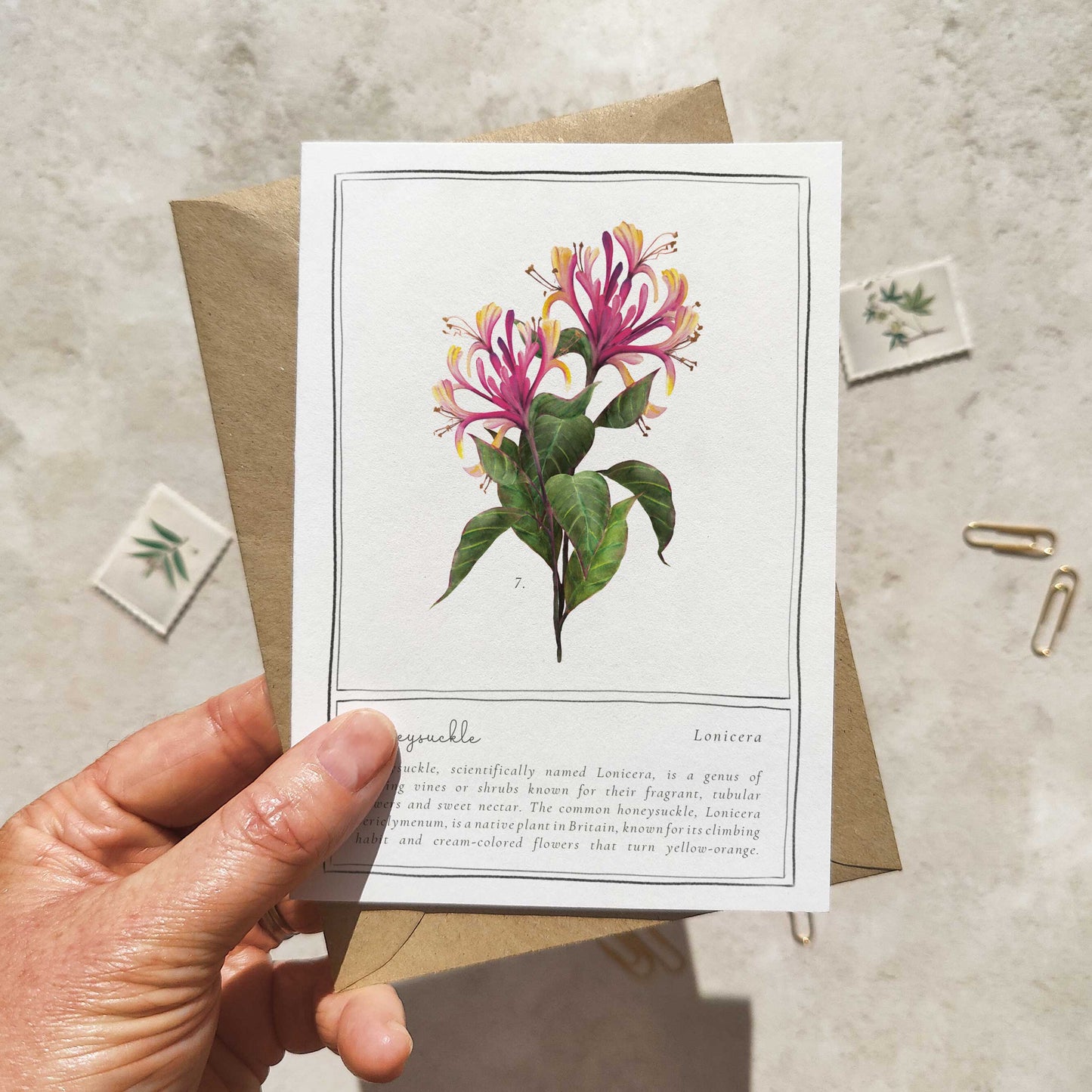 Set of 6 Wildflower Pink, Yellow & Orange Note Cards & Envelopes