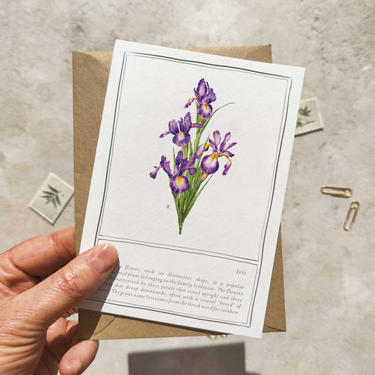 Iris Botanical Folded Note Card & Envelope