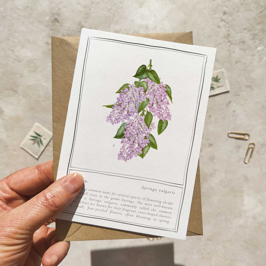 Lilac Botanical Folded Note Card & Envelope