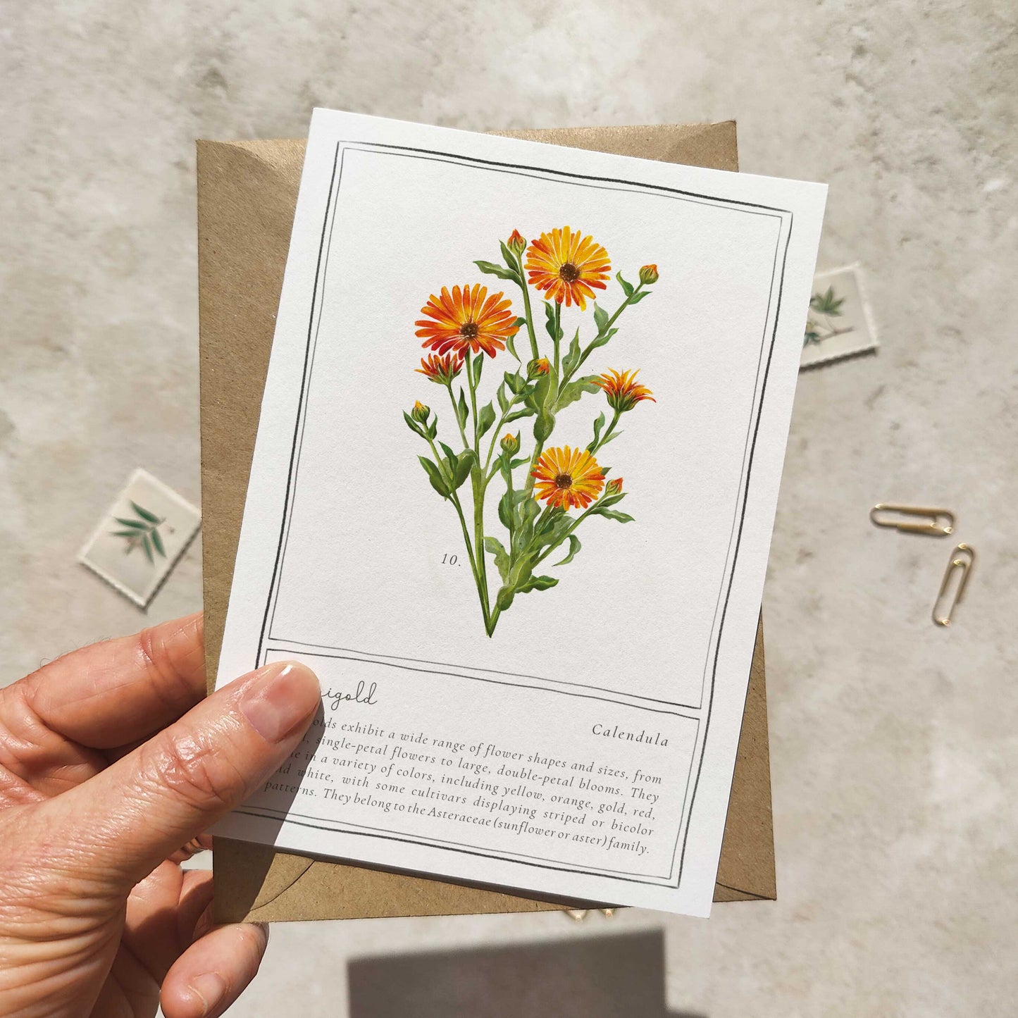 Set of 6 Wildflower Pink, Yellow & Orange Note Cards & Envelopes