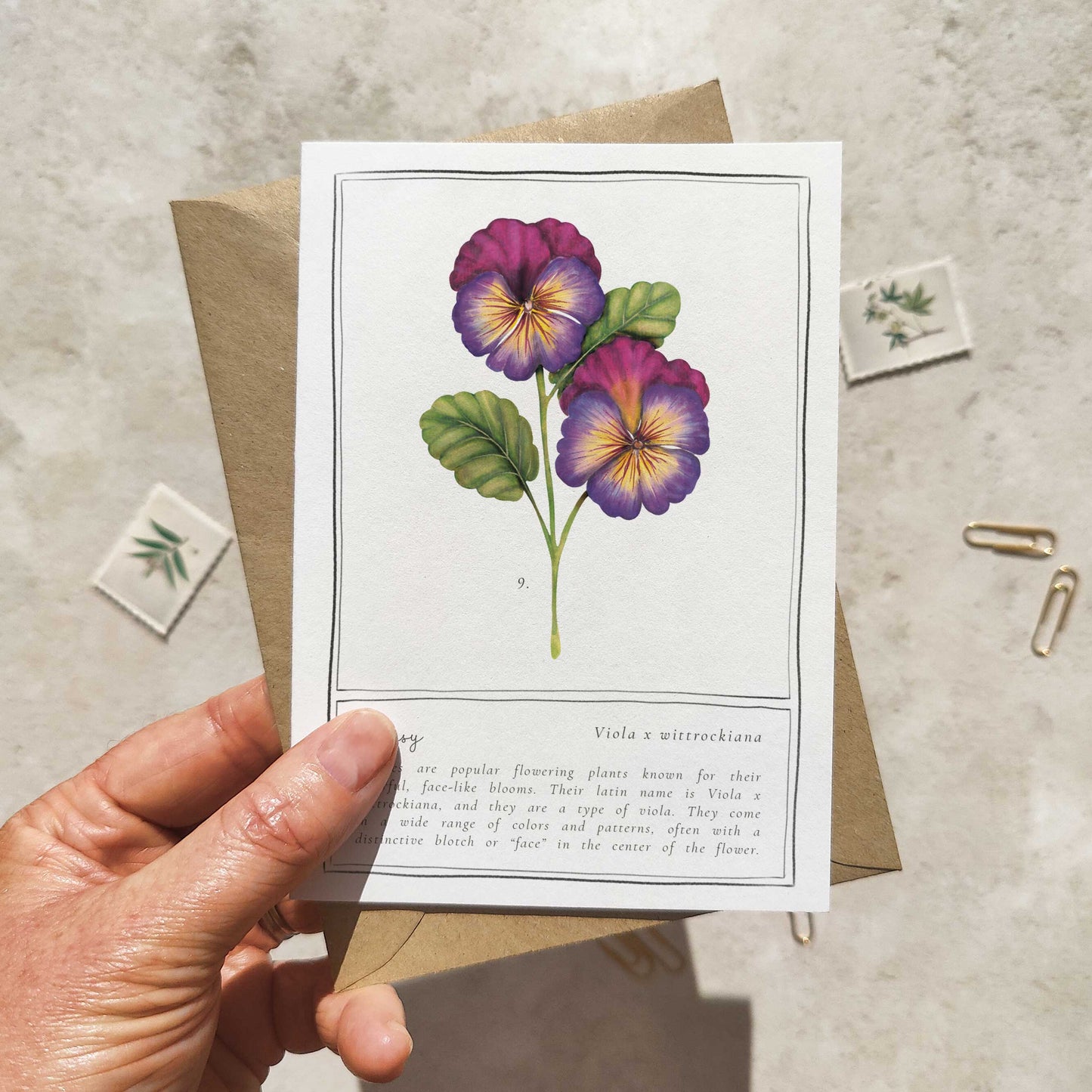 Set of 6 Wildflower Pink, Yellow & Orange Note Cards & Envelopes