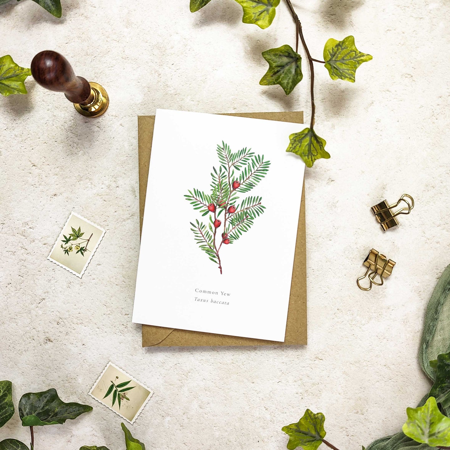 Botanical Individual Paintings Christmas Cards & Envelopes