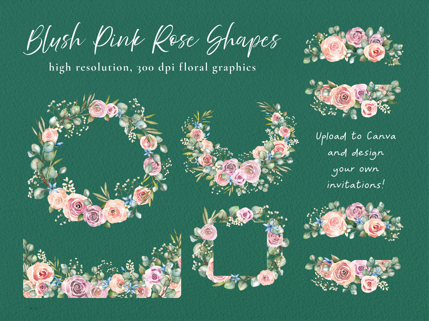 Pink Roses and Eucalyptus 26 x Digital PNG Floral Borders and Motifs