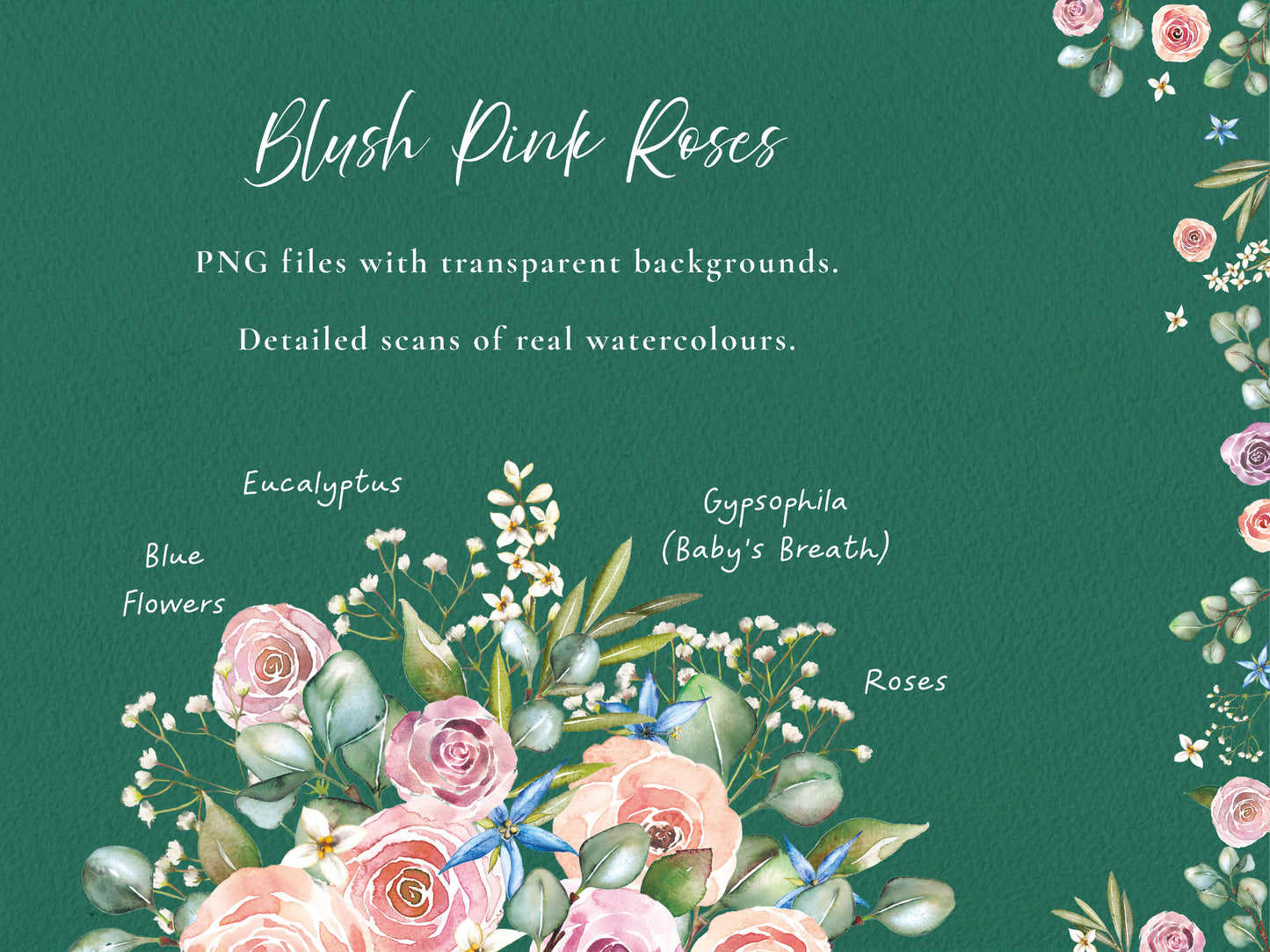 Pink Roses and Eucalyptus 26 x Digital PNG Floral Borders and Motifs