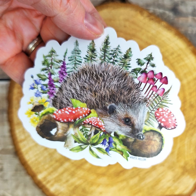 Hedgehog Vinyl Sticker