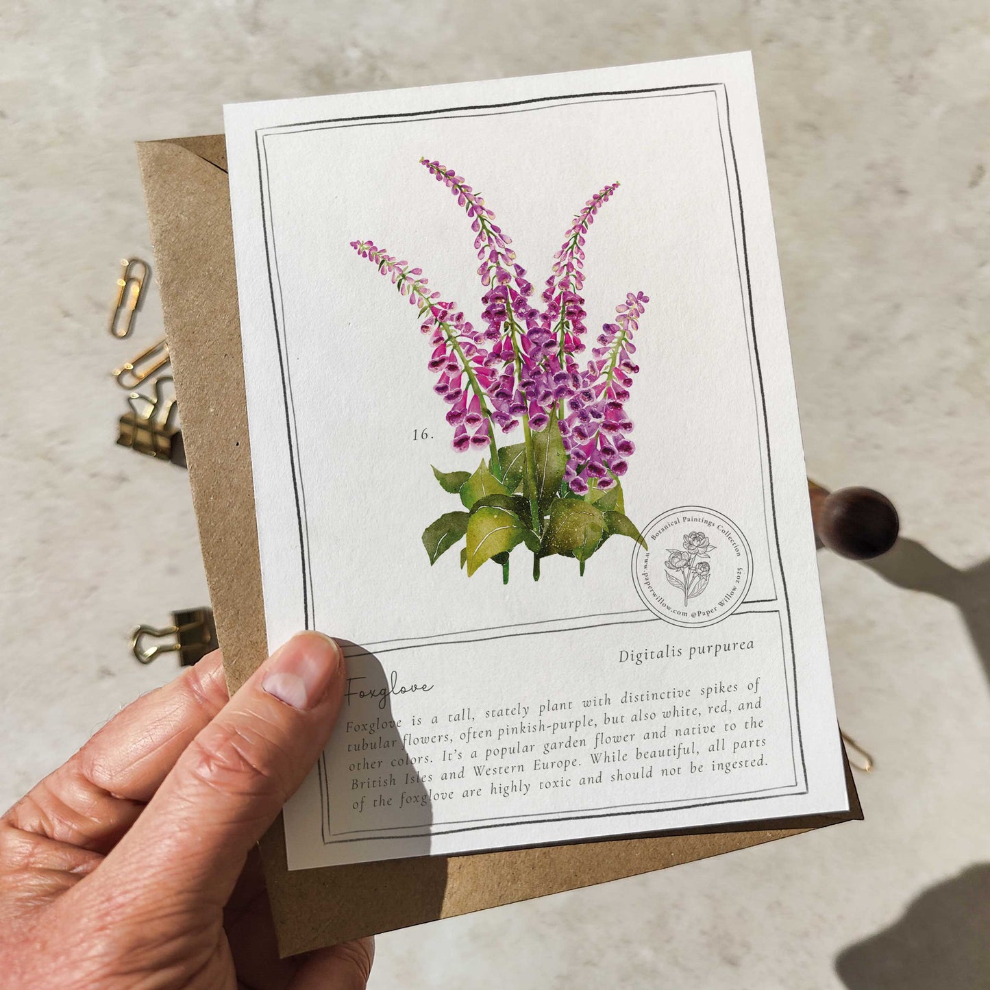 Wildflowers Flat Notelet Gift Set