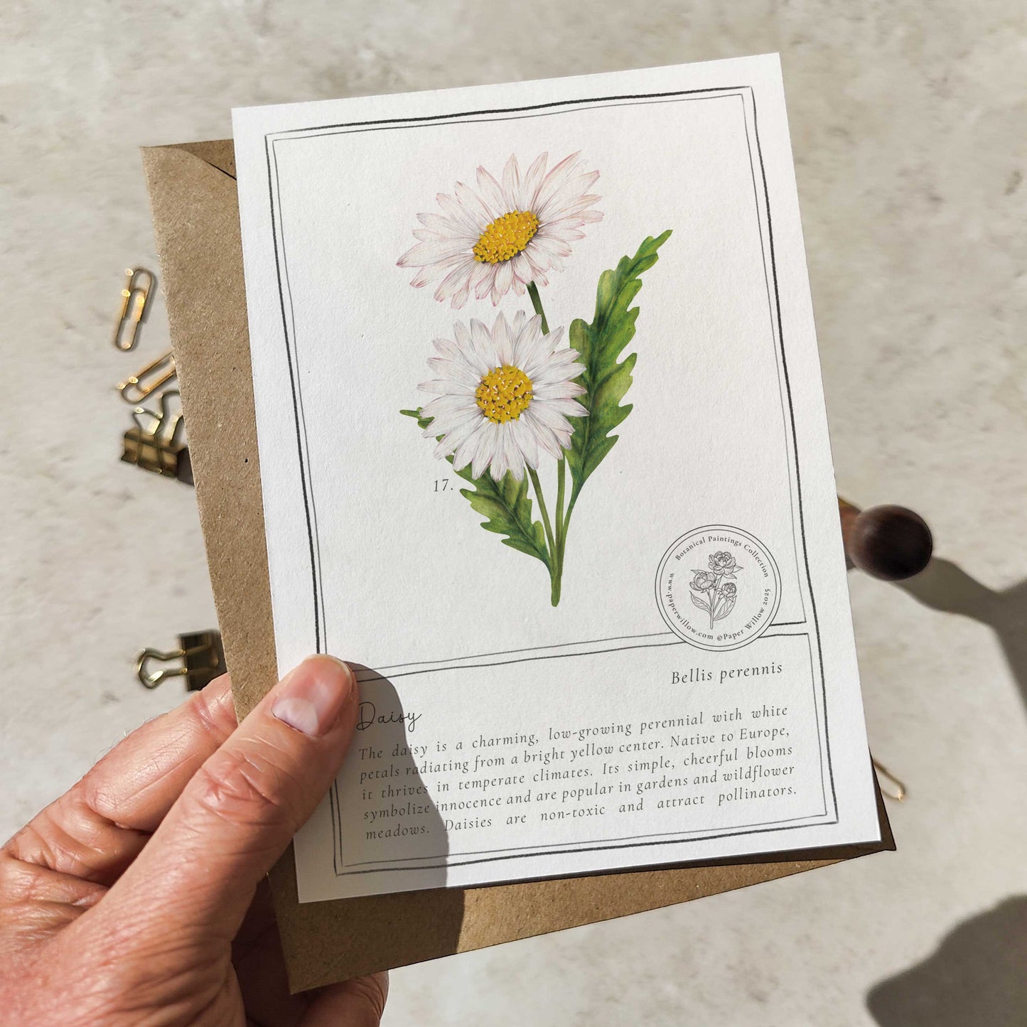 Wildflowers Flat Notelet Gift Set