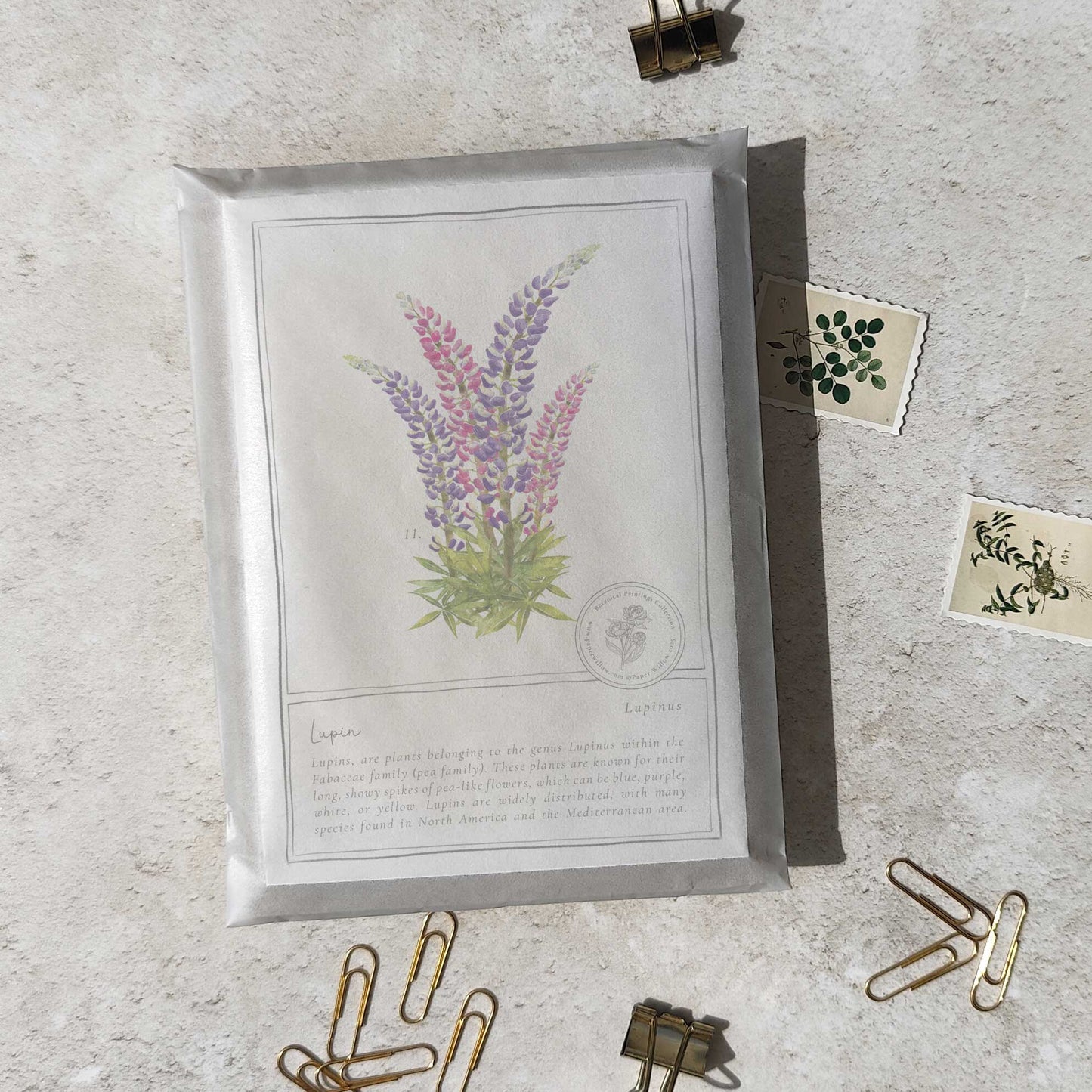 Wildflowers Flat Notelet Gift Set