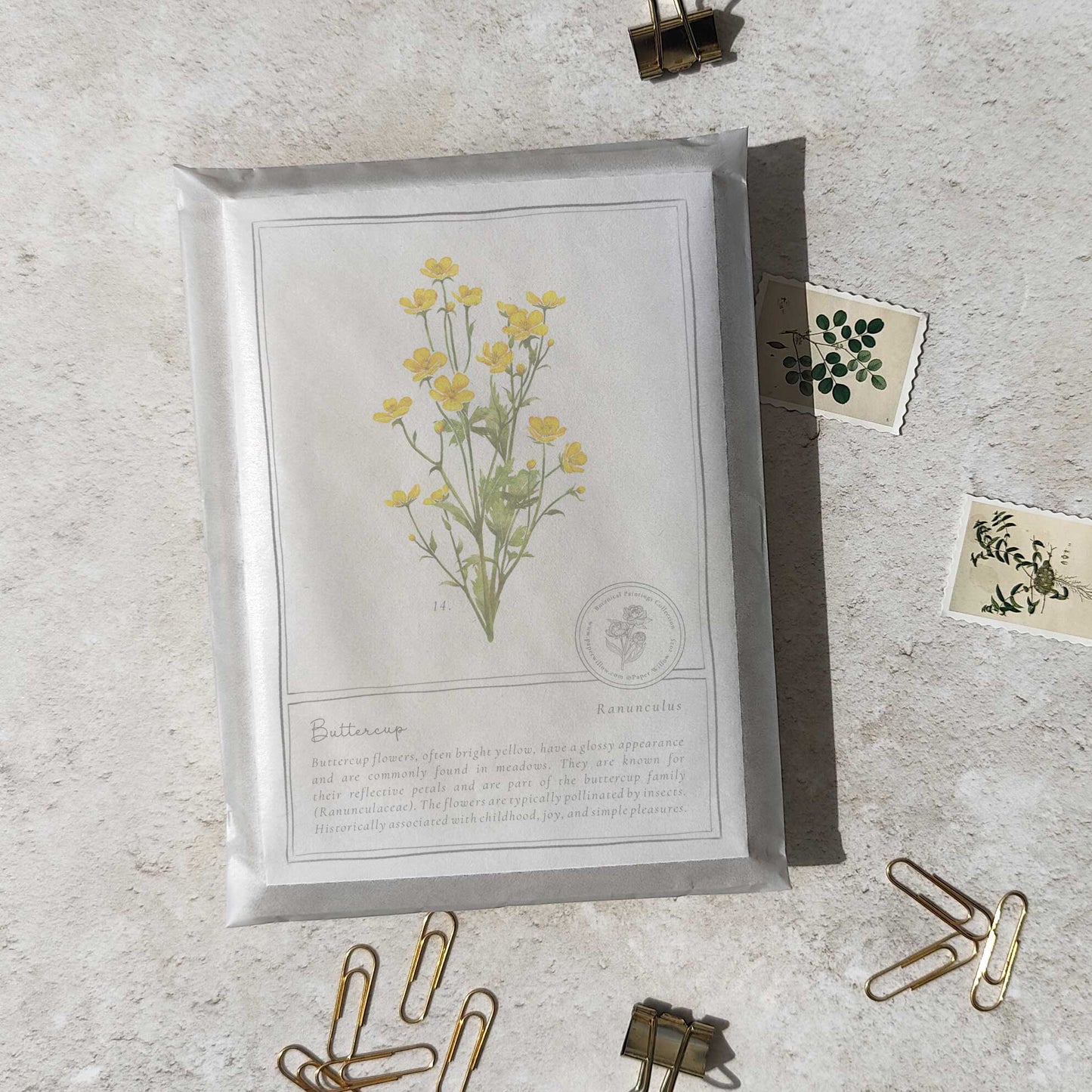 Wildflowers Flat Notelet Gift Set