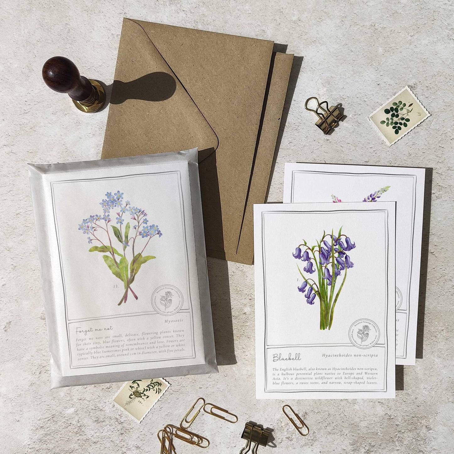 Wildflowers Flat Notelet Gift Set