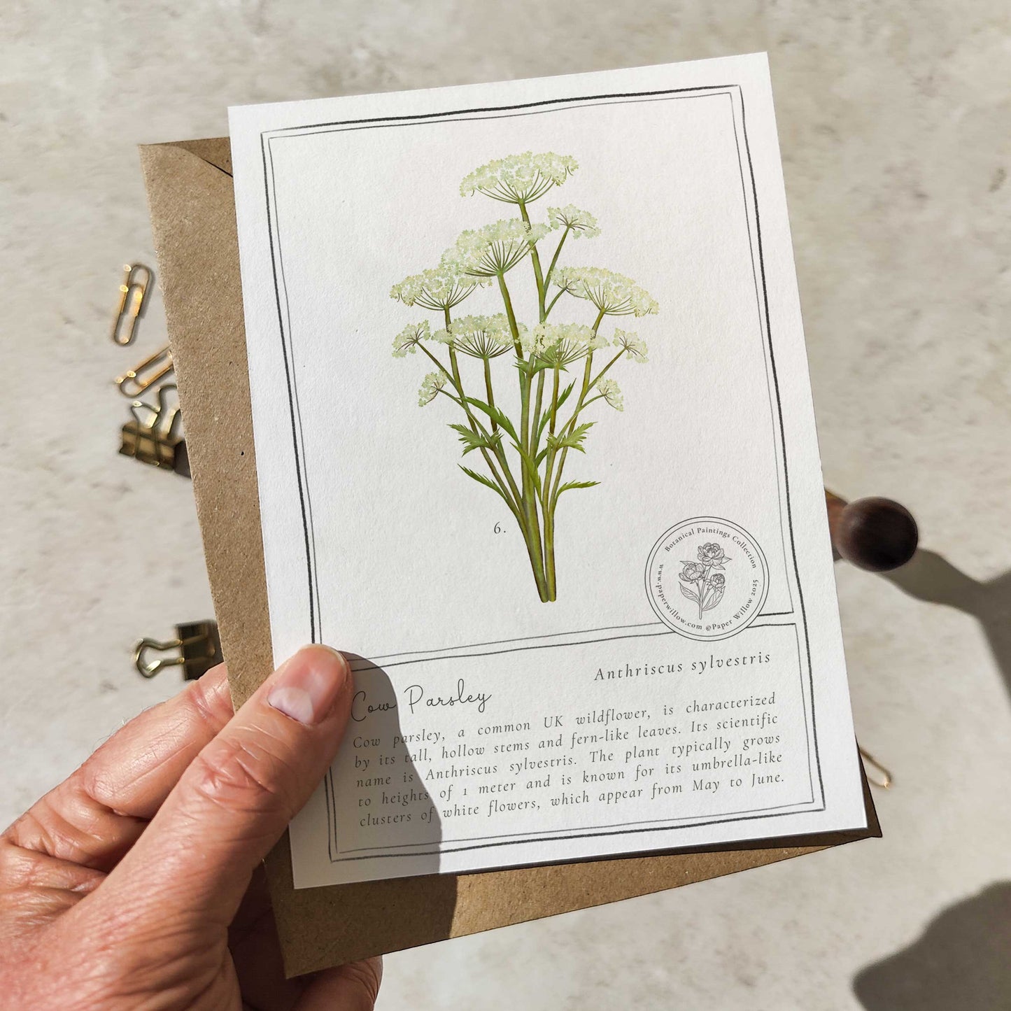 Wildflowers Flat Notelet Gift Set