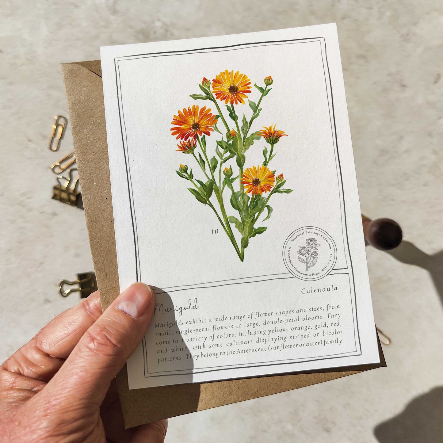 Wildflowers Flat Notelet Gift Set