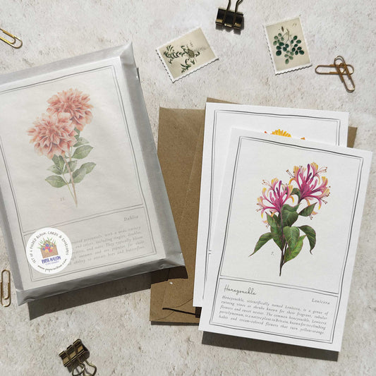 Set of 6 Wildflower Pink, Yellow & Orange Note Cards & Envelopes