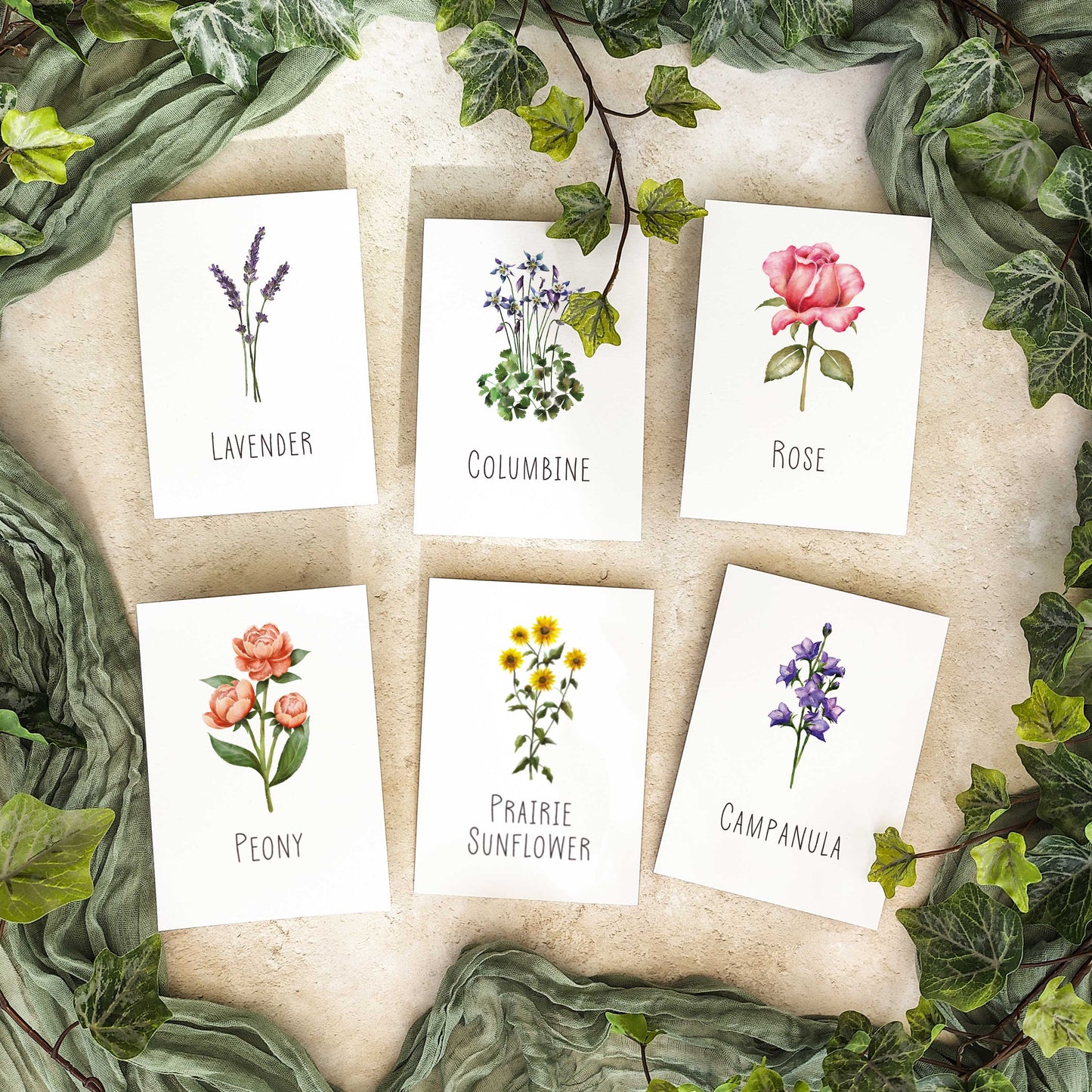 Wildflower Table Name Cards