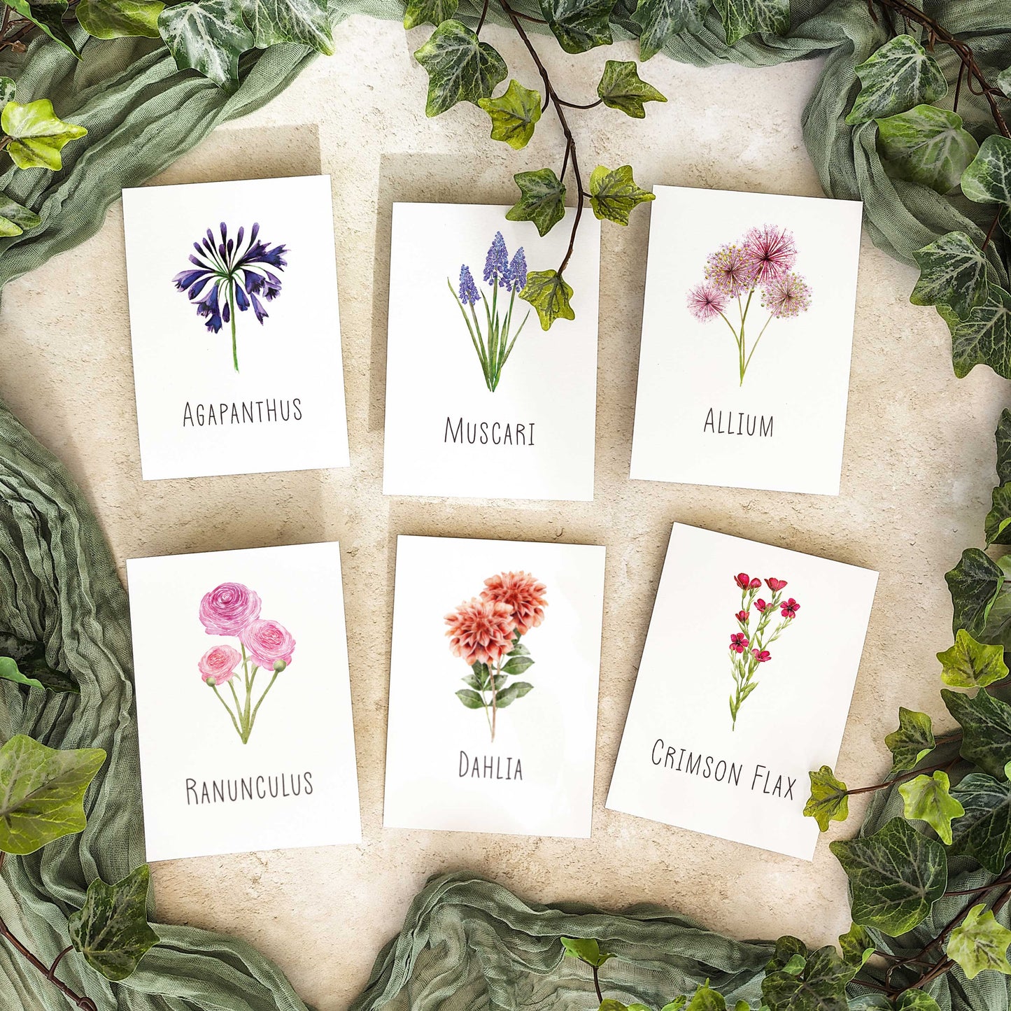 Wildflower Table Name Cards