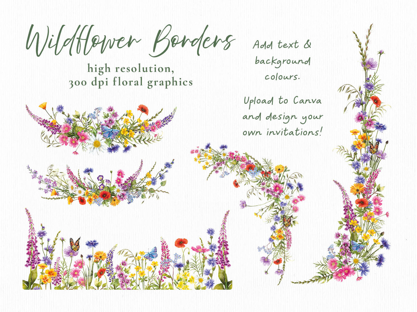 Watercolour Wildflowers 21 x Digital PNG Floral Borders and Motifs