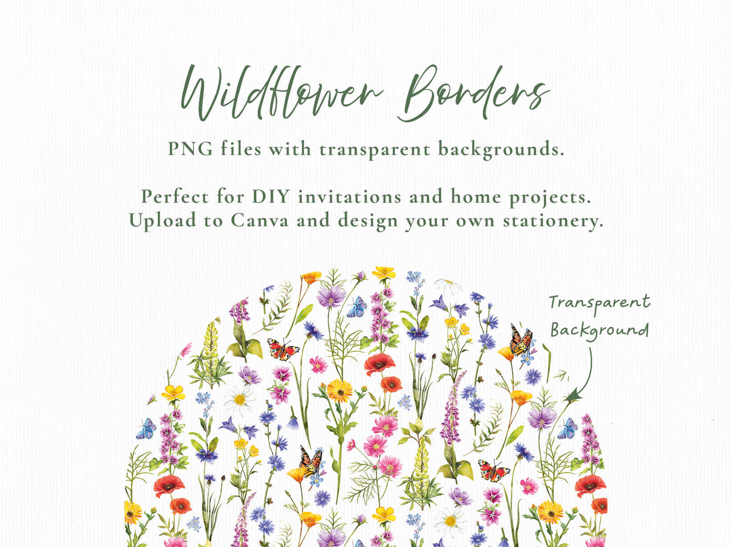 Watercolour Wildflowers 21 x Digital PNG Floral Borders and Motifs