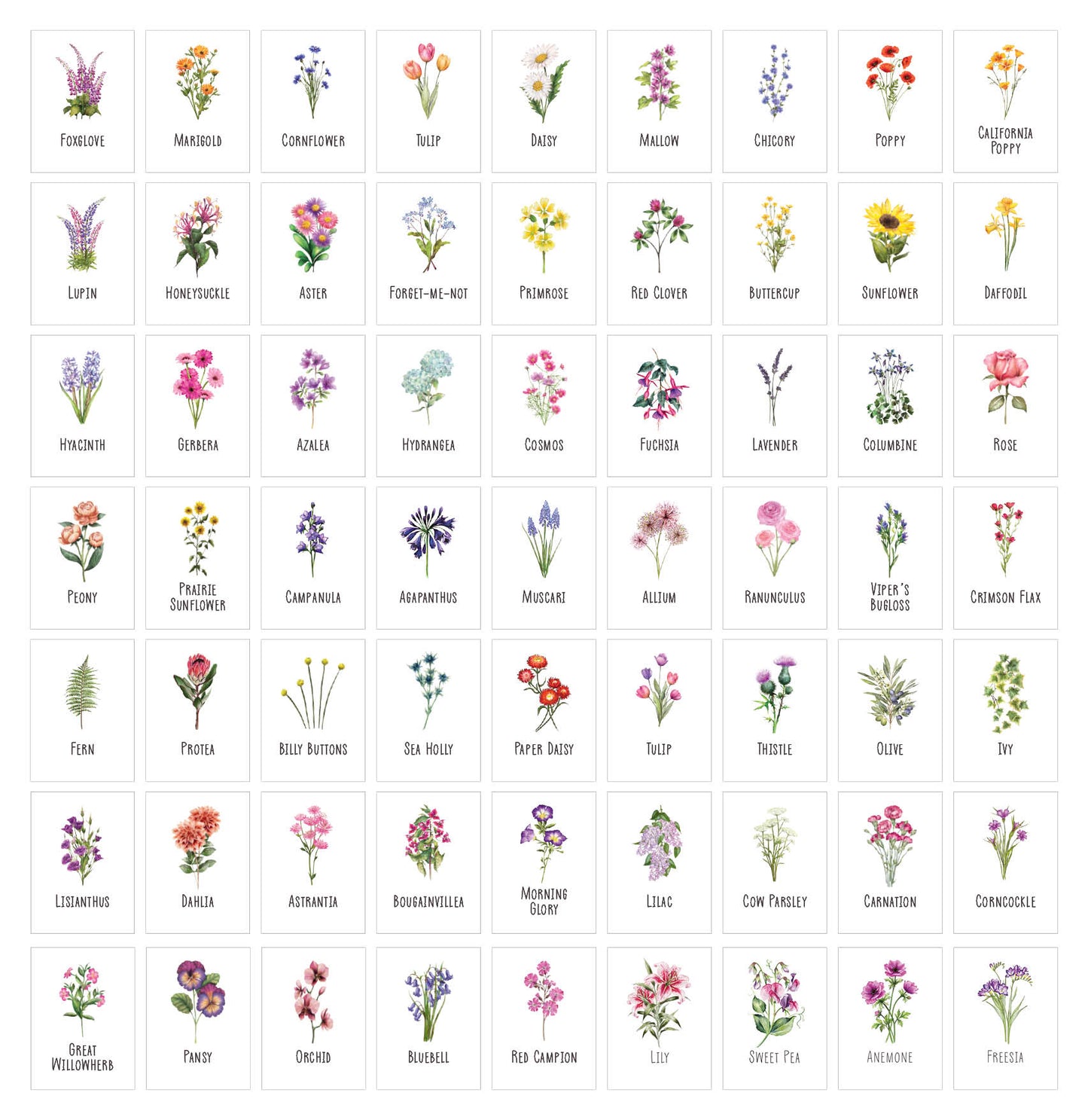 Wildflower A5 Table Plan Cards