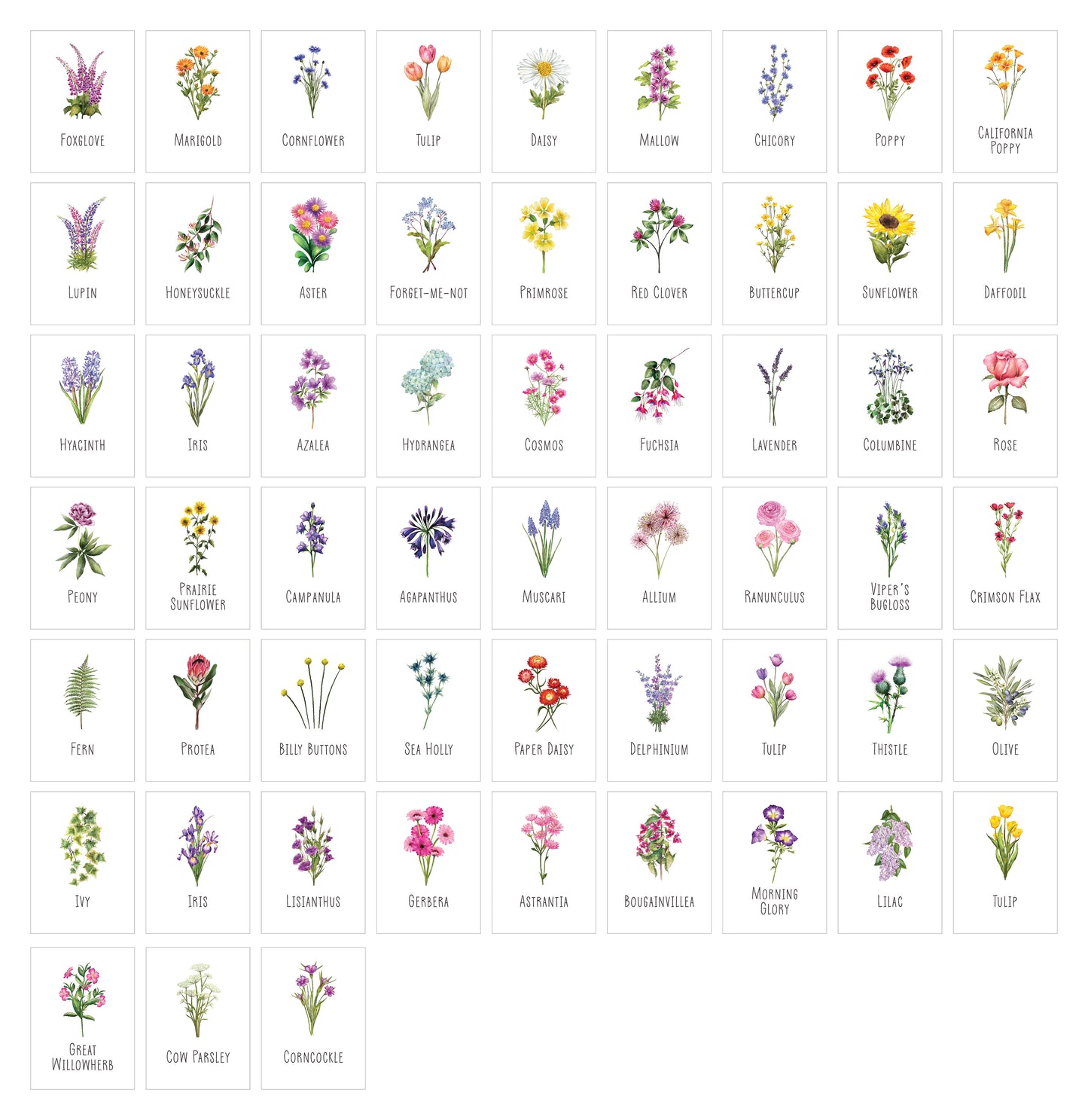 Wildflower A5 Table Plan Cards