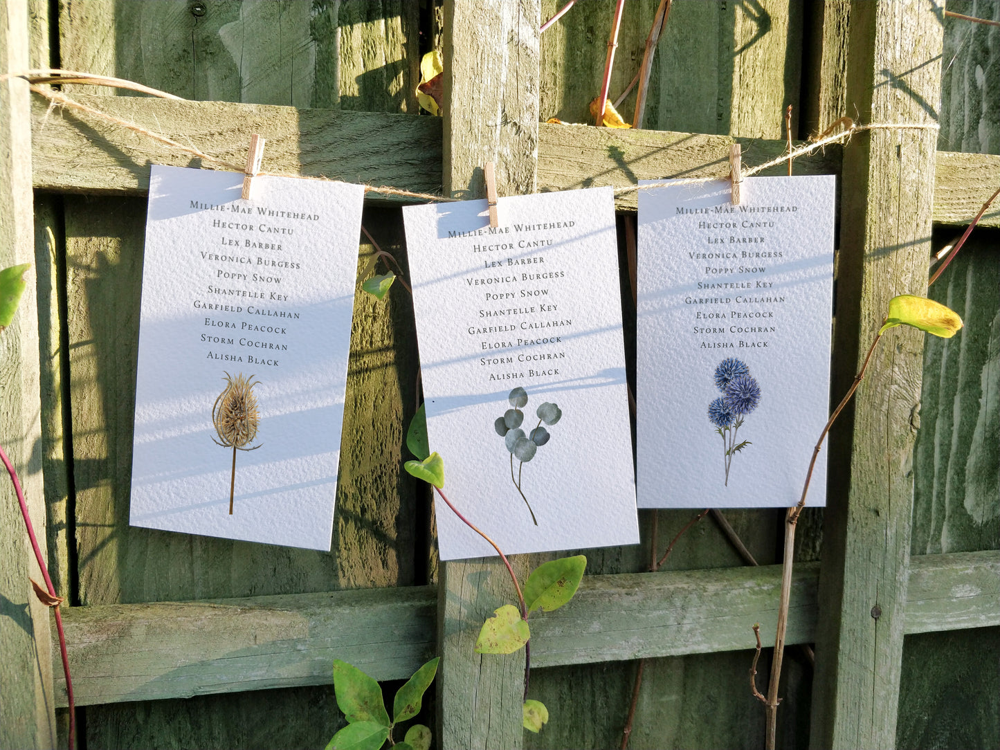 Dried Flowers Hanging Table Plan Cards